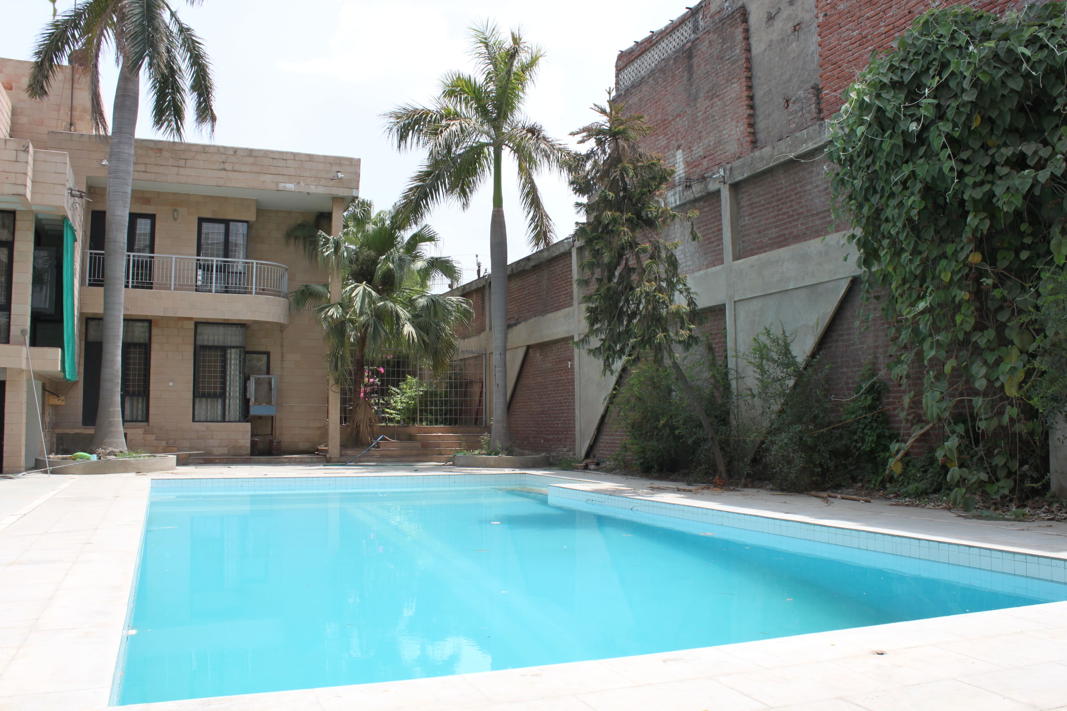 Senior Wellness Programme — photo 2